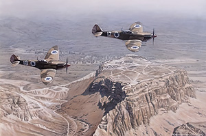 Merlins Over Masada - by Ronald Wong