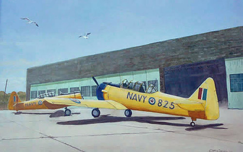Navy Harvards - Alan Burgham, from New Zealand,trained in Kingston, Ontario and flew with the Fleet Air Arm during WW2 - Navy Reserve Squadron VC 921 - by Chris Driver